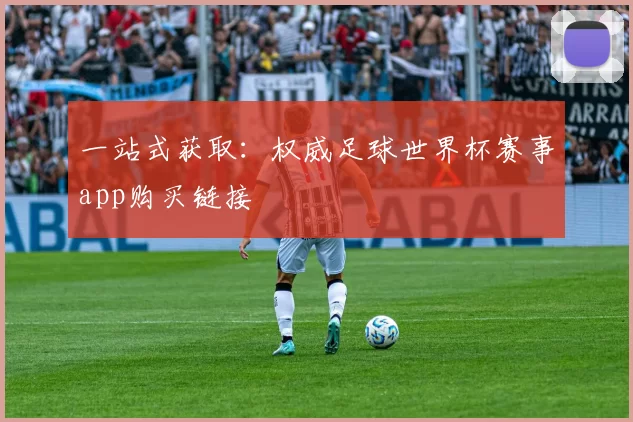 一站式获取:权威足球世界杯赛事app购买链接