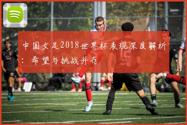 中国女足2018世界杯表现深度解析:希望与挑战并存