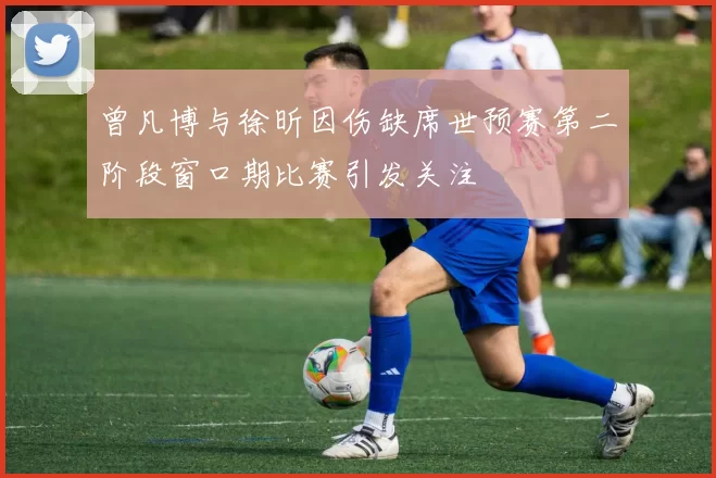 曾凡博与徐昕因伤缺席世预赛第二阶段窗口期比赛引发关注