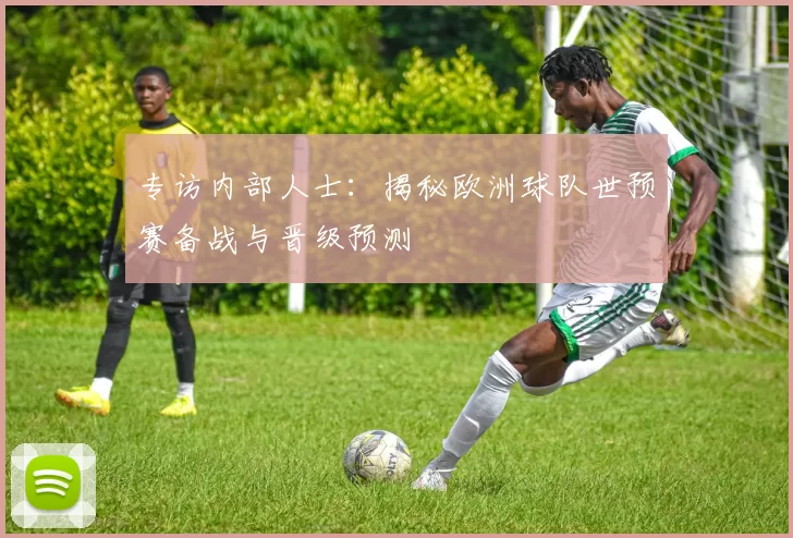 专访内部人士:揭秘欧洲球队世预赛备战与晋级预测
