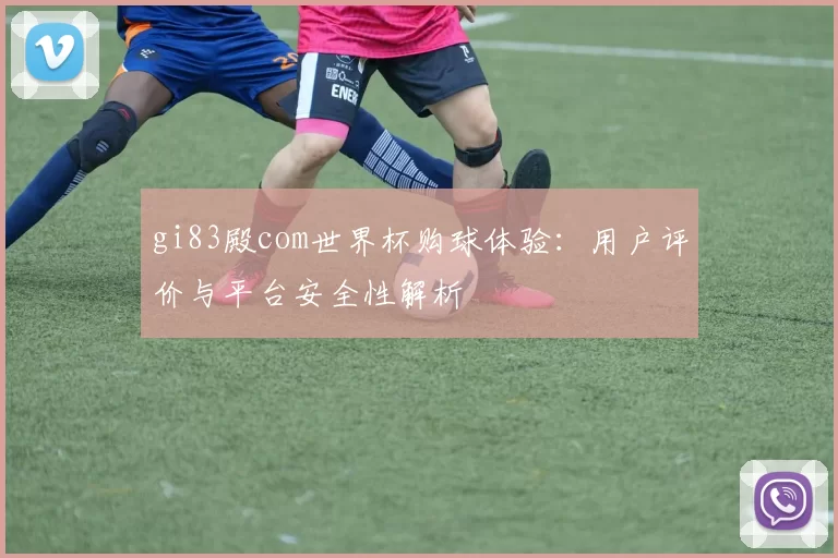 gi83殿com世界杯购球体验：用户评价与平台安全性解析