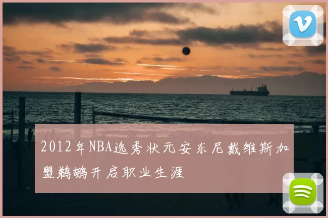 2012年NBA选秀状元安东尼戴维斯加盟鹈鹕开启职业生涯