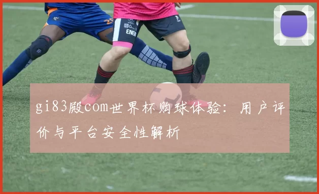 gi83殿com世界杯购球体验:用户评价与平台安全性解析