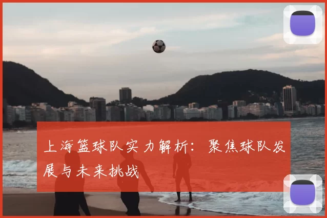 上海篮球队实力解析:聚焦球队发展与未来挑战
