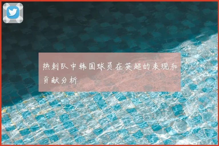 热刺队中韩国球员在英超的表现和贡献分析