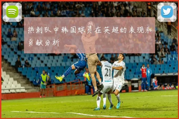 热刺队中韩国球员在英超的表现和贡献分析
