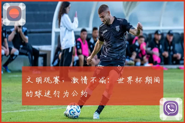 文明观赛,激情不减:世界杯期间的球迷行为公约