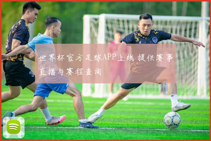 世界杯官方足球APP上线 提供赛事直播与赛程查询