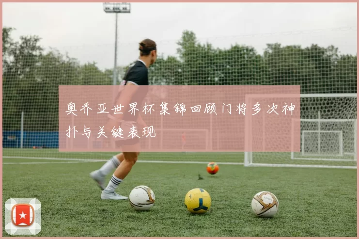 奥乔亚世界杯集锦回顾门将多次神扑与关键表现