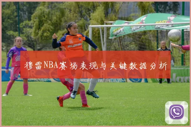 穆雷NBA赛场表现与关键数据分析