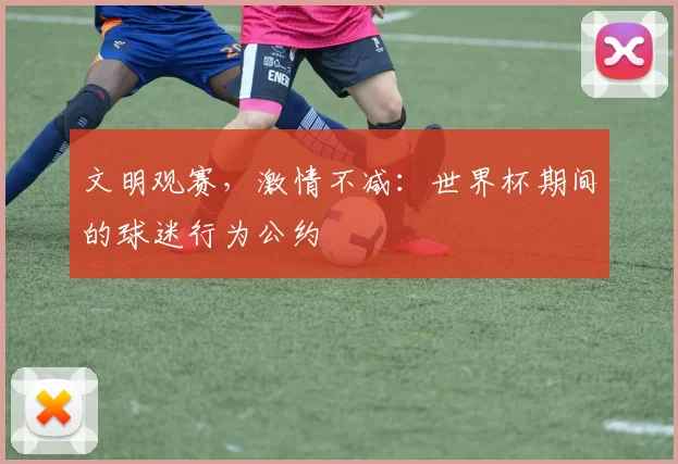 文明观赛,激情不减:世界杯期间的球迷行为公约