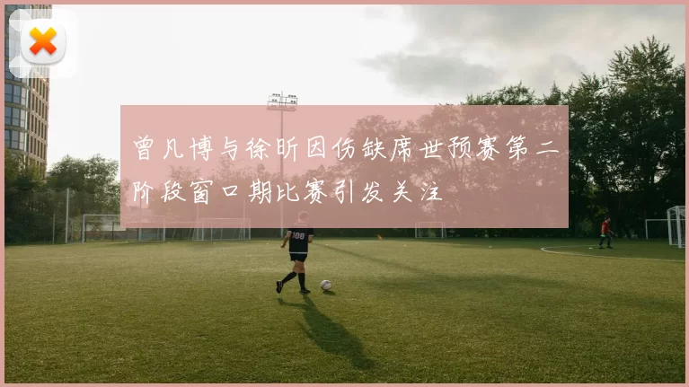 曾凡博与徐昕因伤缺席世预赛第二阶段窗口期比赛引发关注