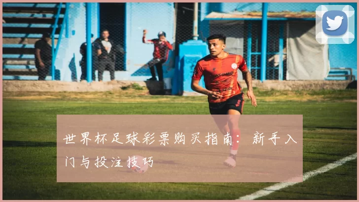 世界杯足球彩票购买指南：新手入门与投注技巧